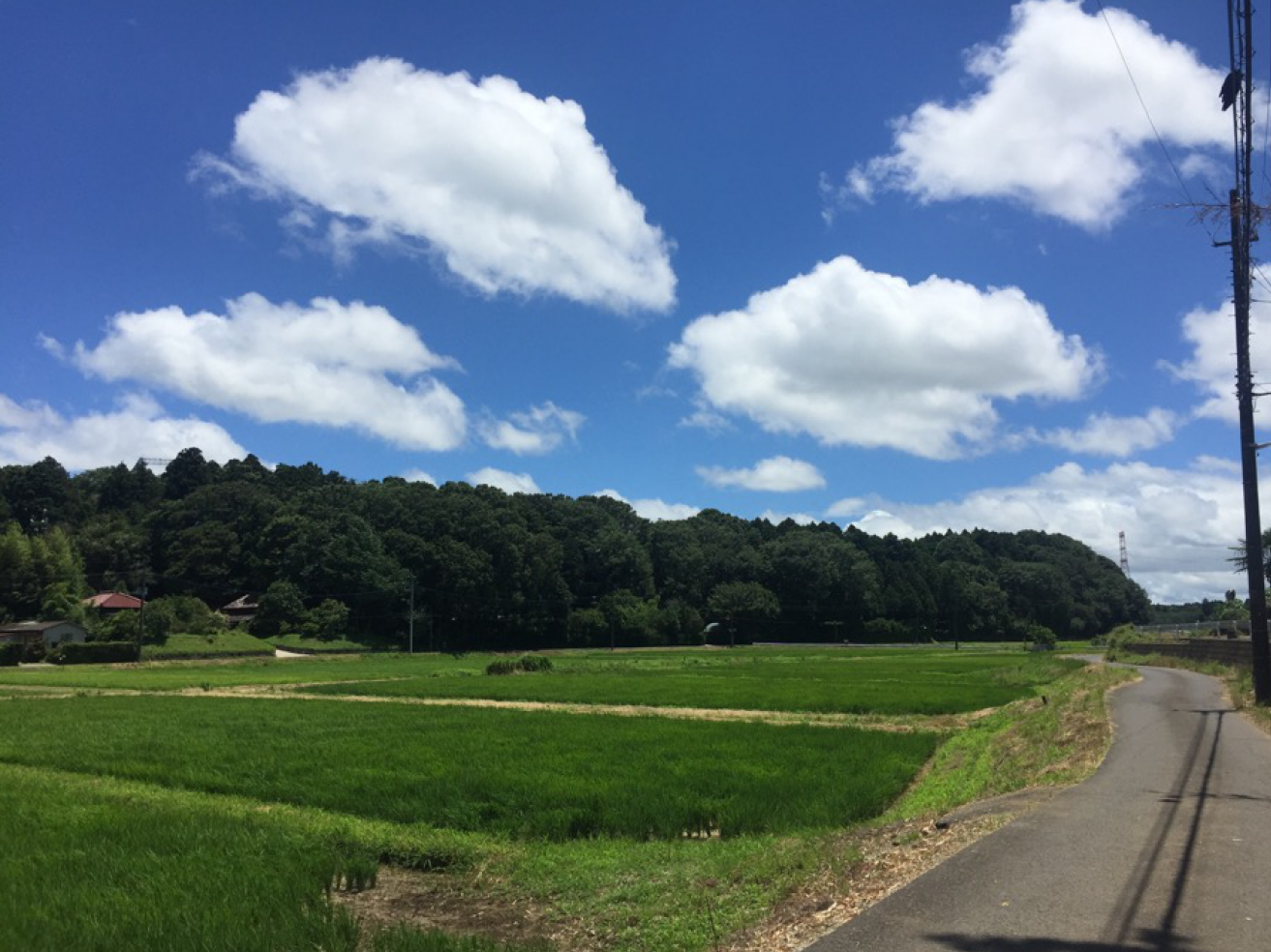 雲と空の描き方 夏空イラストの背景が10倍上達する 入道雲の絵を描く２つのコツ 画力ゼロからはじめるイラスト漫画生活