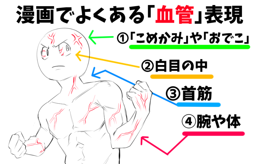 模写のコツ　体の描き方