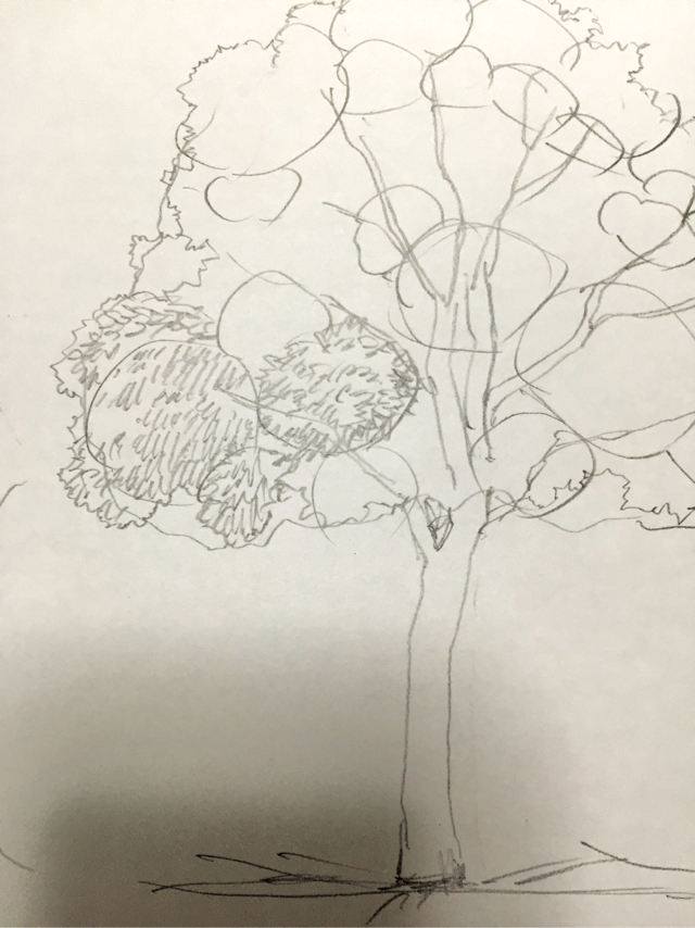 木イラストの描き方 絵の初心者ほど一気に上達する 木の書き方練習法 教えます イラスト講座 画力ゼロからはじめるイラスト漫画生活