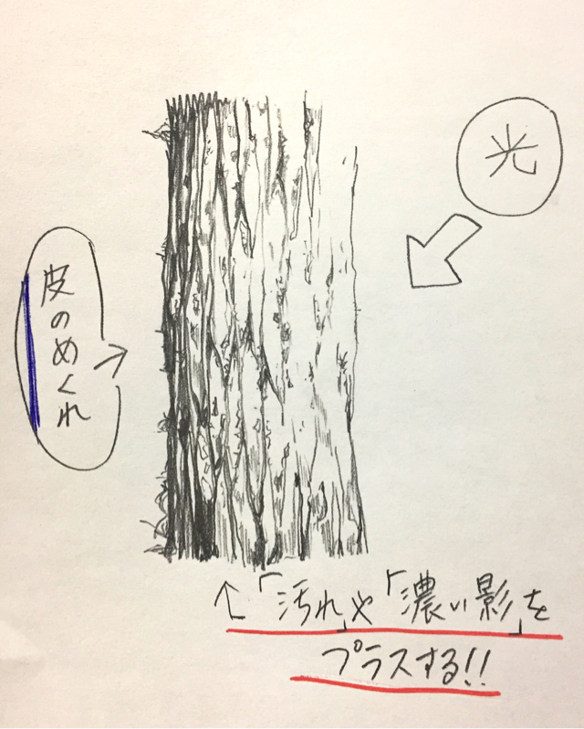 木イラストの描き方 絵の初心者ほど一気に上達する 木の書き方練習法 教えます イラスト講座 画力ゼロからはじめるイラスト漫画生活